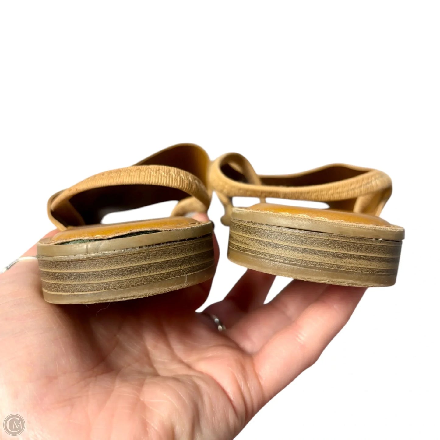 Sandals Flats By Franco Sarto In Tan, Size: 8