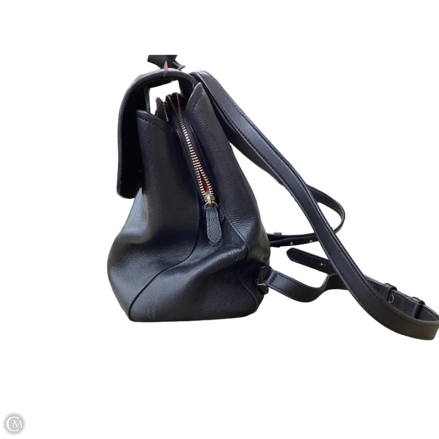 Backpack Designer By Kate Spade, Size: Medium