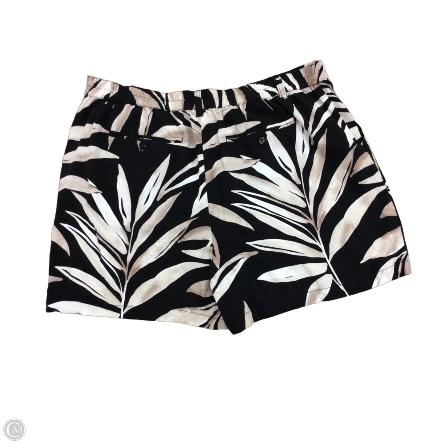 Shorts By Time And Tru In Black & Brown, Size: Xl