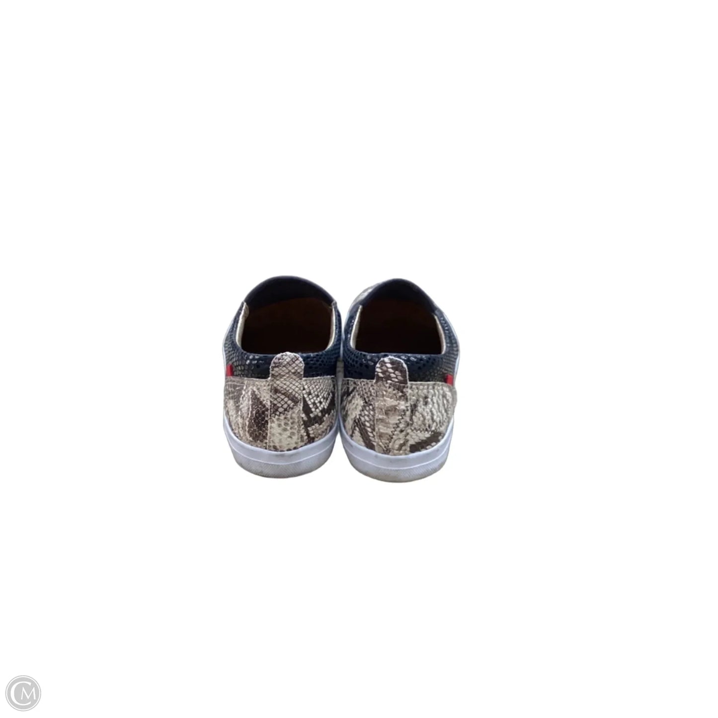 Shoes Sneakers By Cmc In Snakeskin Print, Size: 8