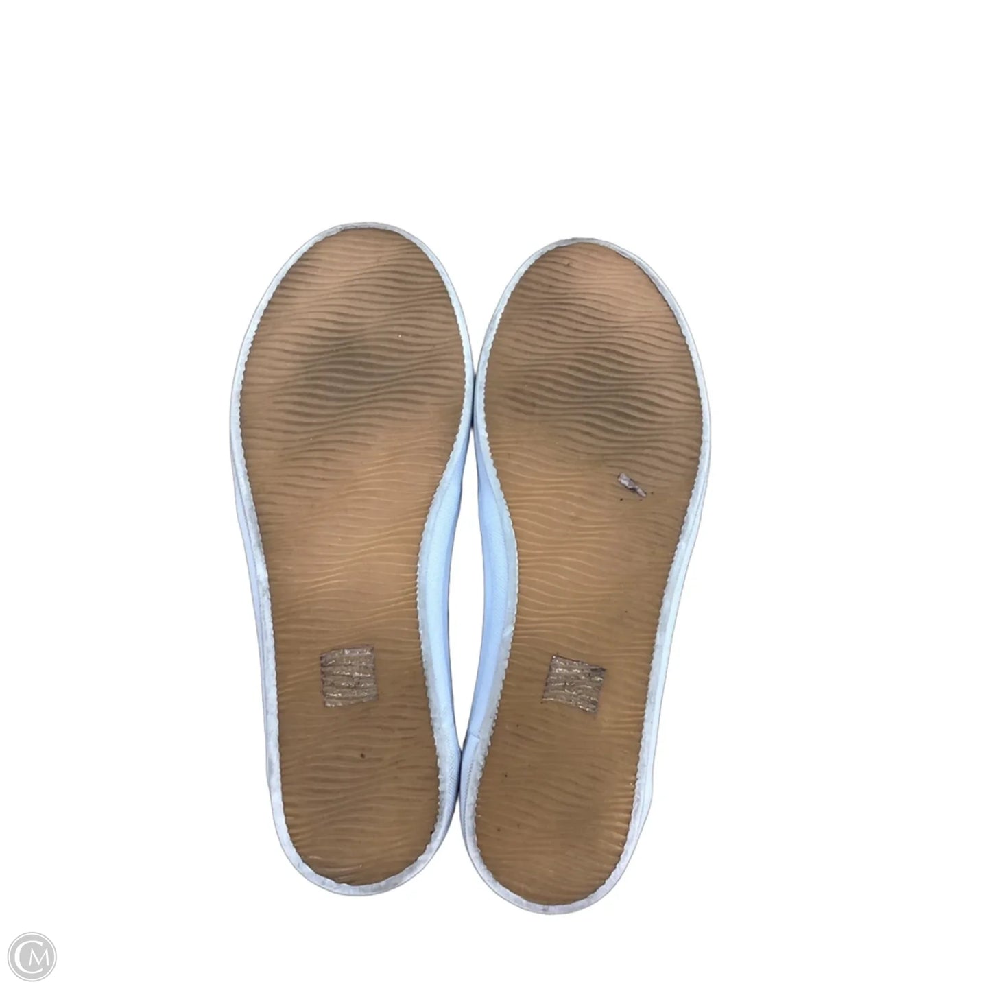 Shoes Sneakers By Cmc In Snakeskin Print, Size: 8