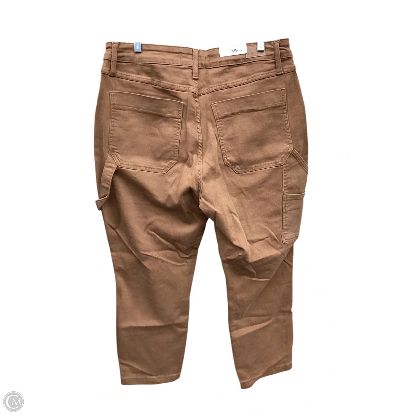 Jeans Skinny By Judy Blue In Brown, Size: 14