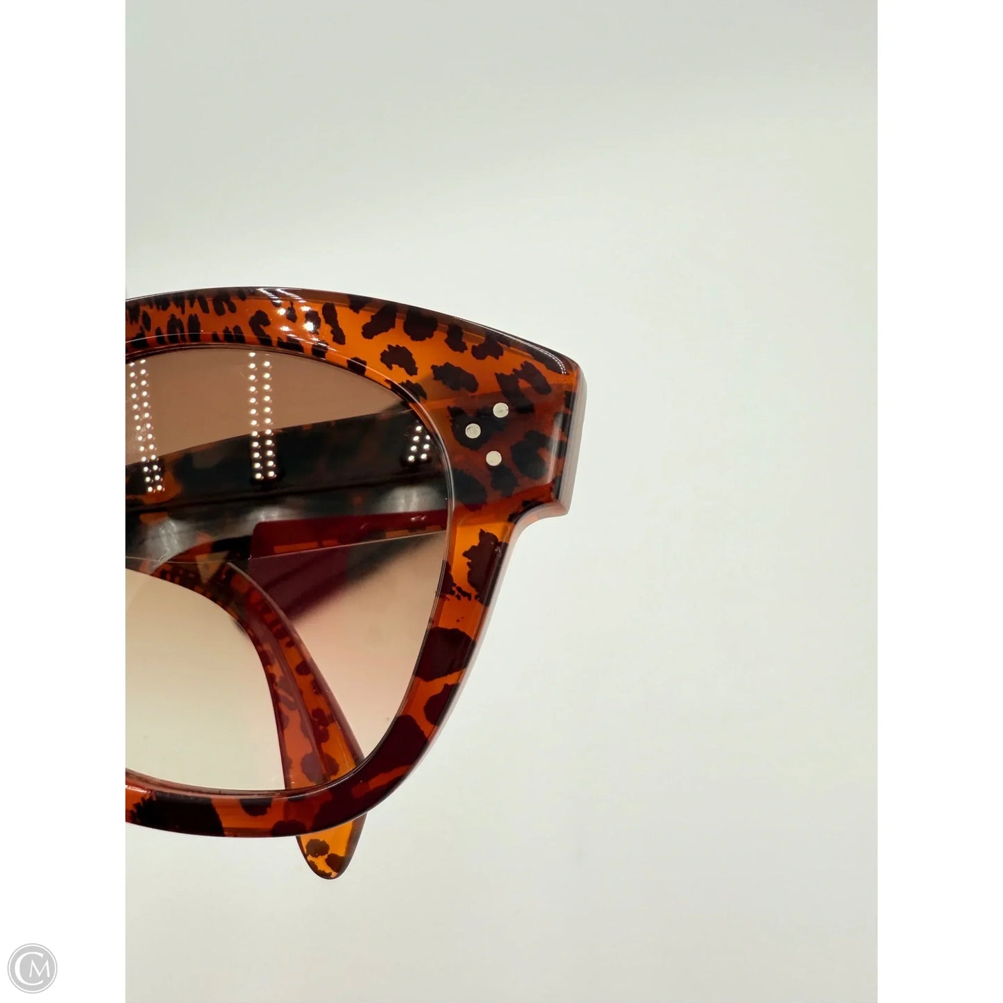 Sunglass Case Luxury Designer By Celine