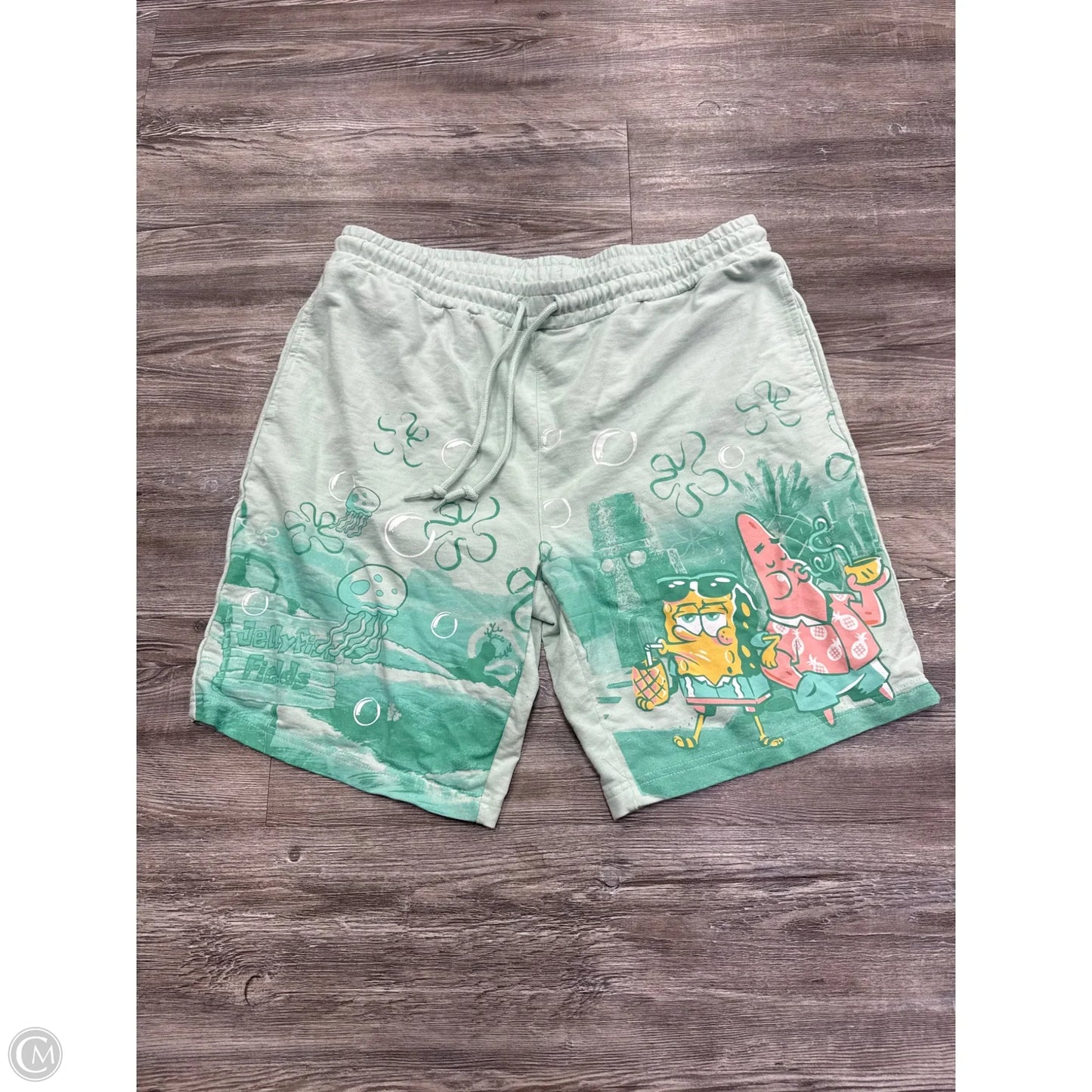 Shorts By Clothes Mentor In Green, Size: Xl