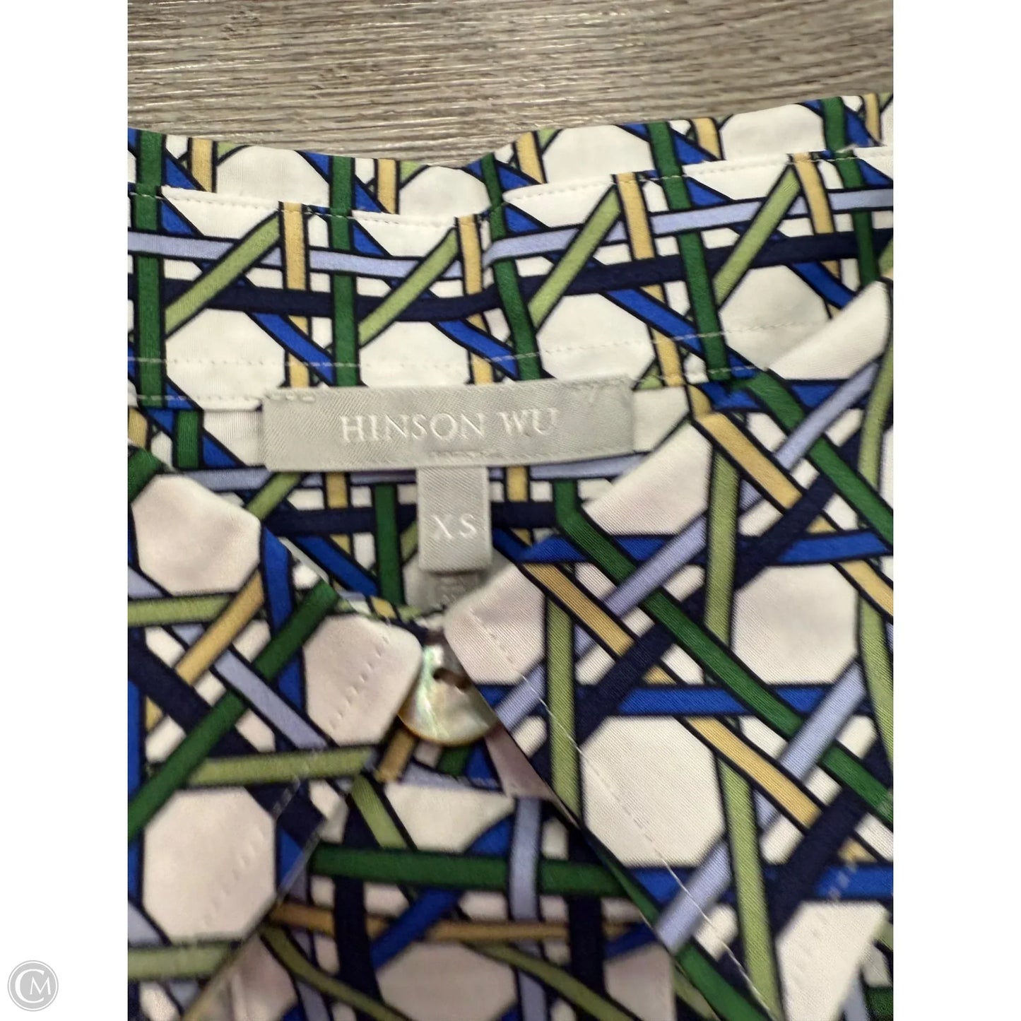 Top Long Sleeve By Hinson Wu In Blue & Green, Size: Xs