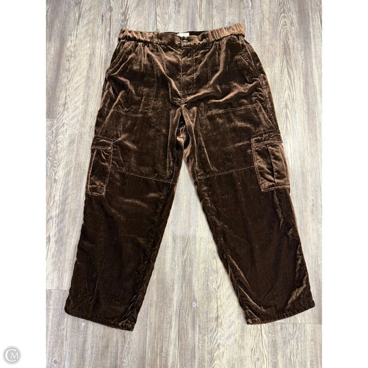Pants Cargo & Utility By Pilcro In Brown, Size: Xl