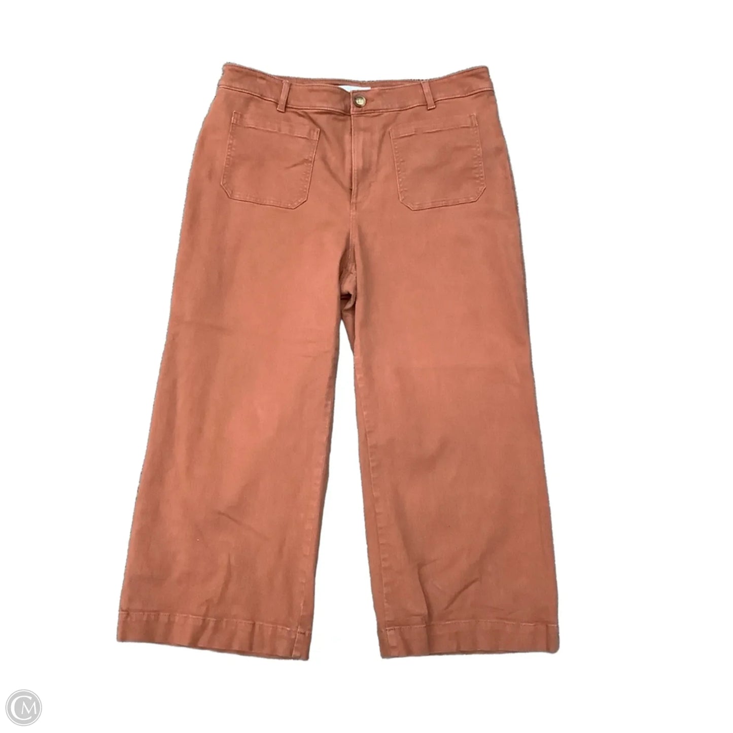 Pants Chinos & Khakis By Loft In Brown, Size: 16