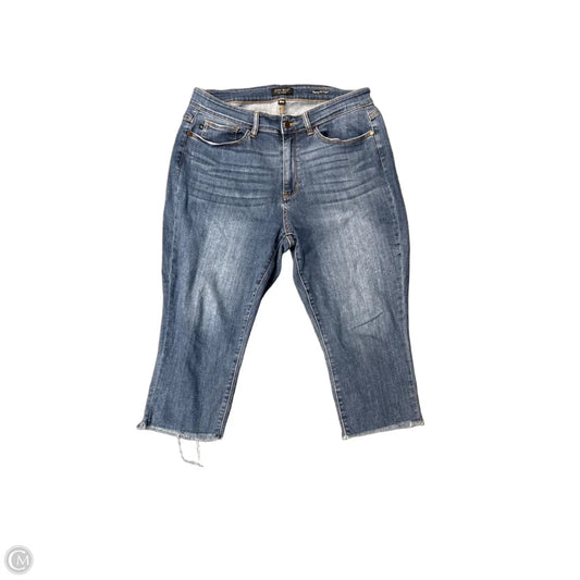 Capris By Judy Blue In Blue, Size: 18