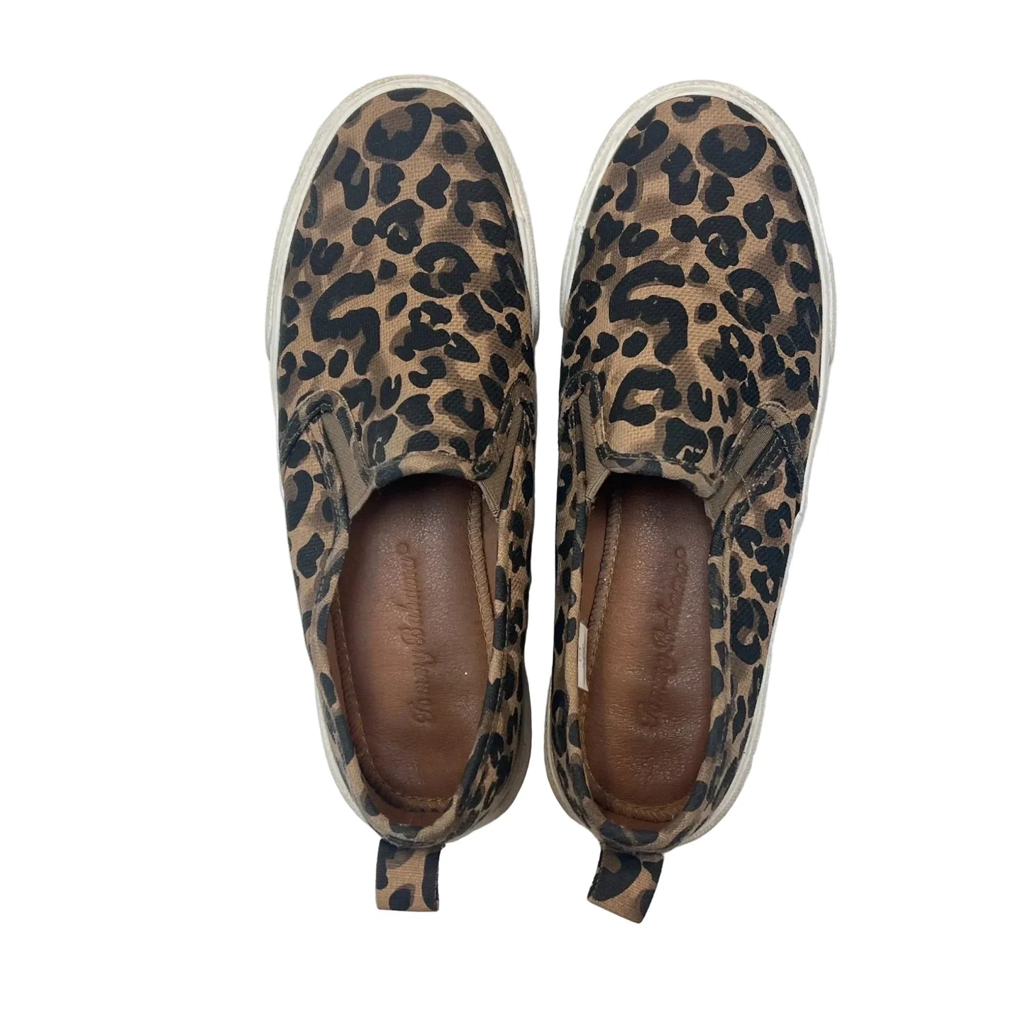 Shoes Sneakers By Tommy Bahama In Animal Print, Size: 7