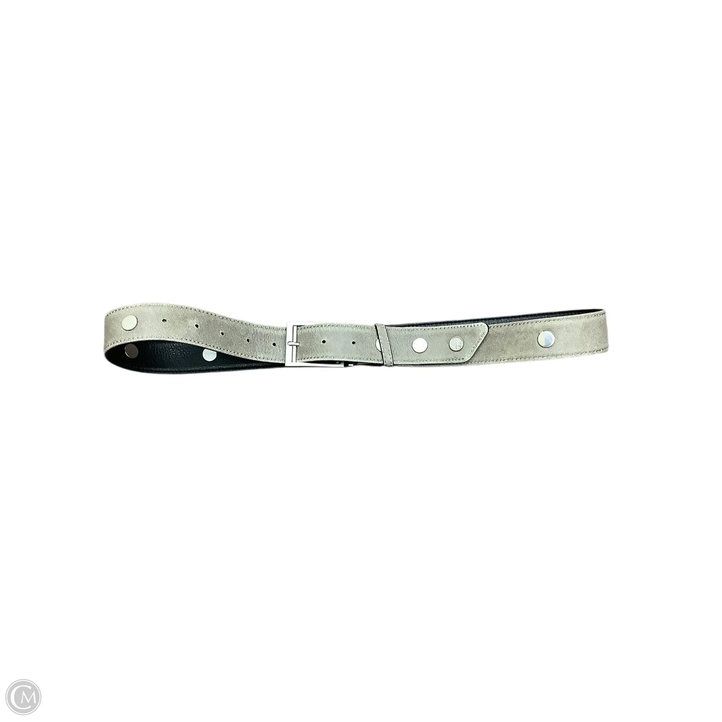 Belt Leather By Hammitt