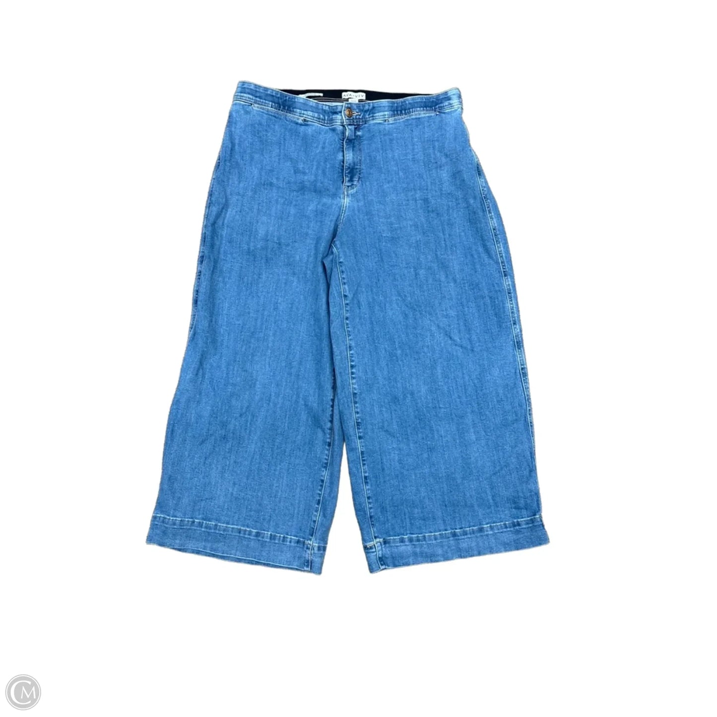 Jeans Wide Leg By Ava & Viv In Blue Denim, Size: 16