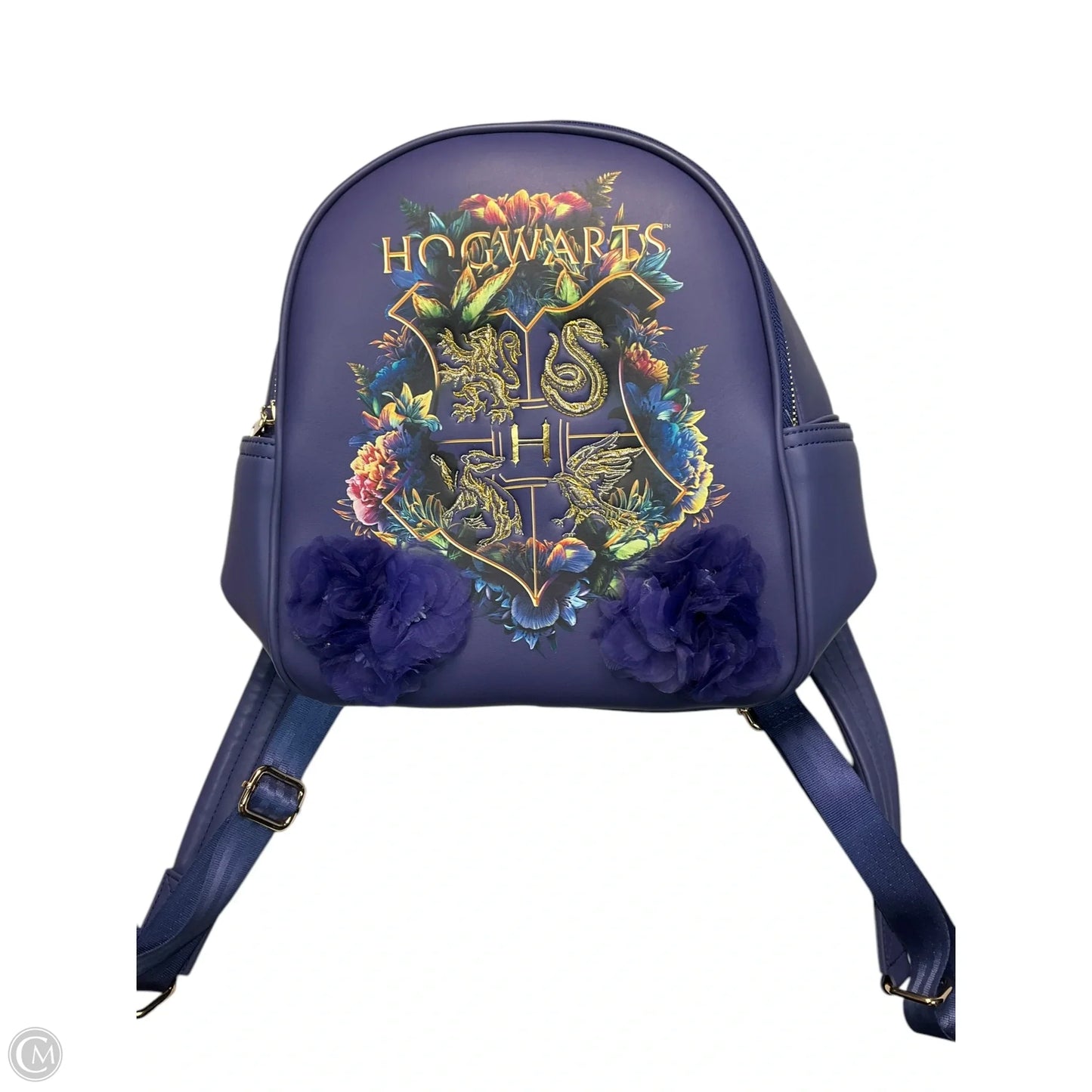 Backpack By Cmc, Size: Medium