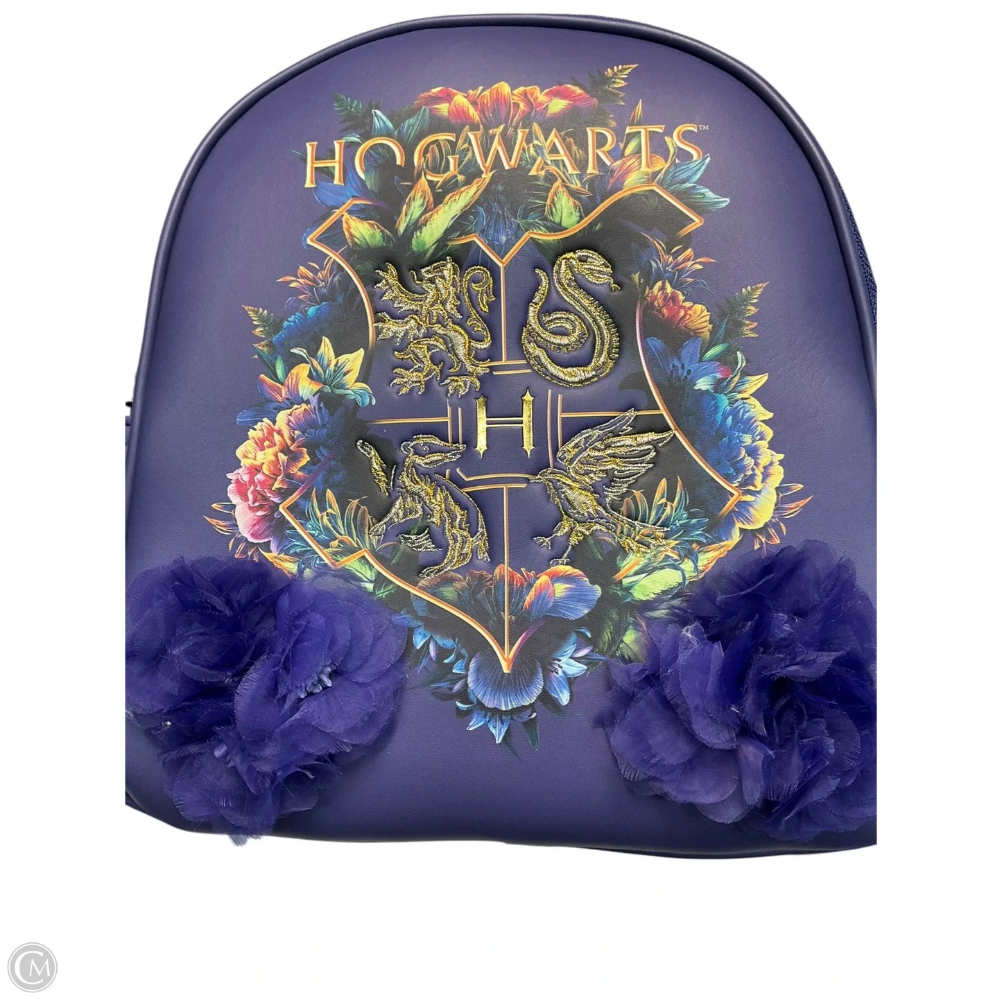 Backpack By Cmc, Size: Medium