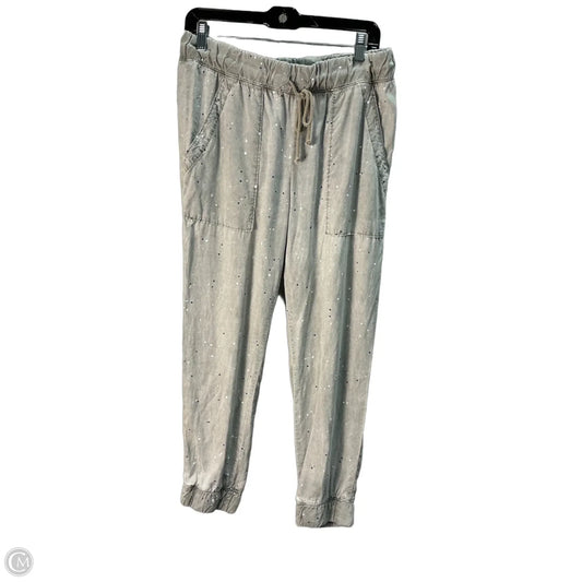Pants Joggers By Cloth & Stone In Grey, Size: 8