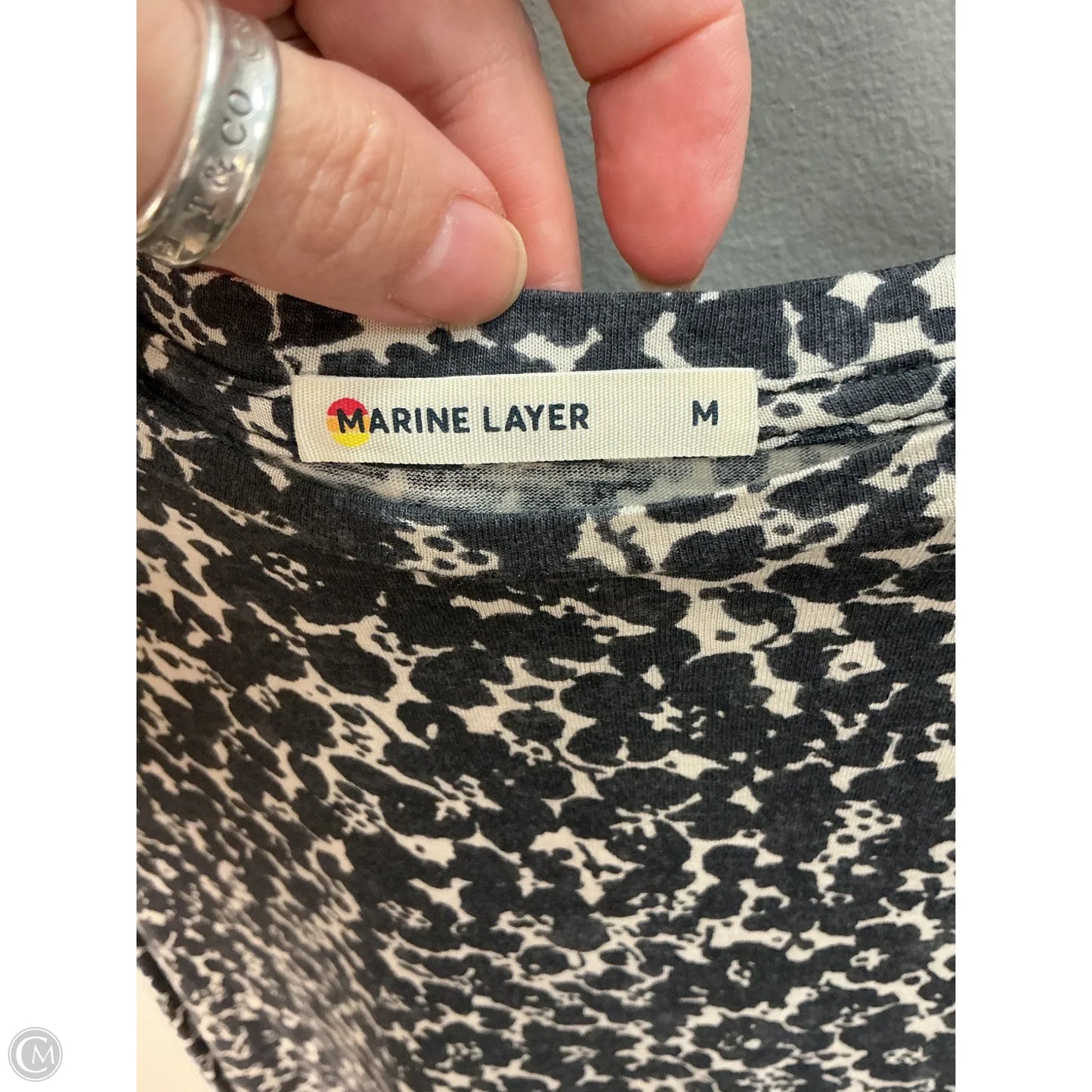 Top Short Sleeve By Marine Layer In Black & Cream, Size: M