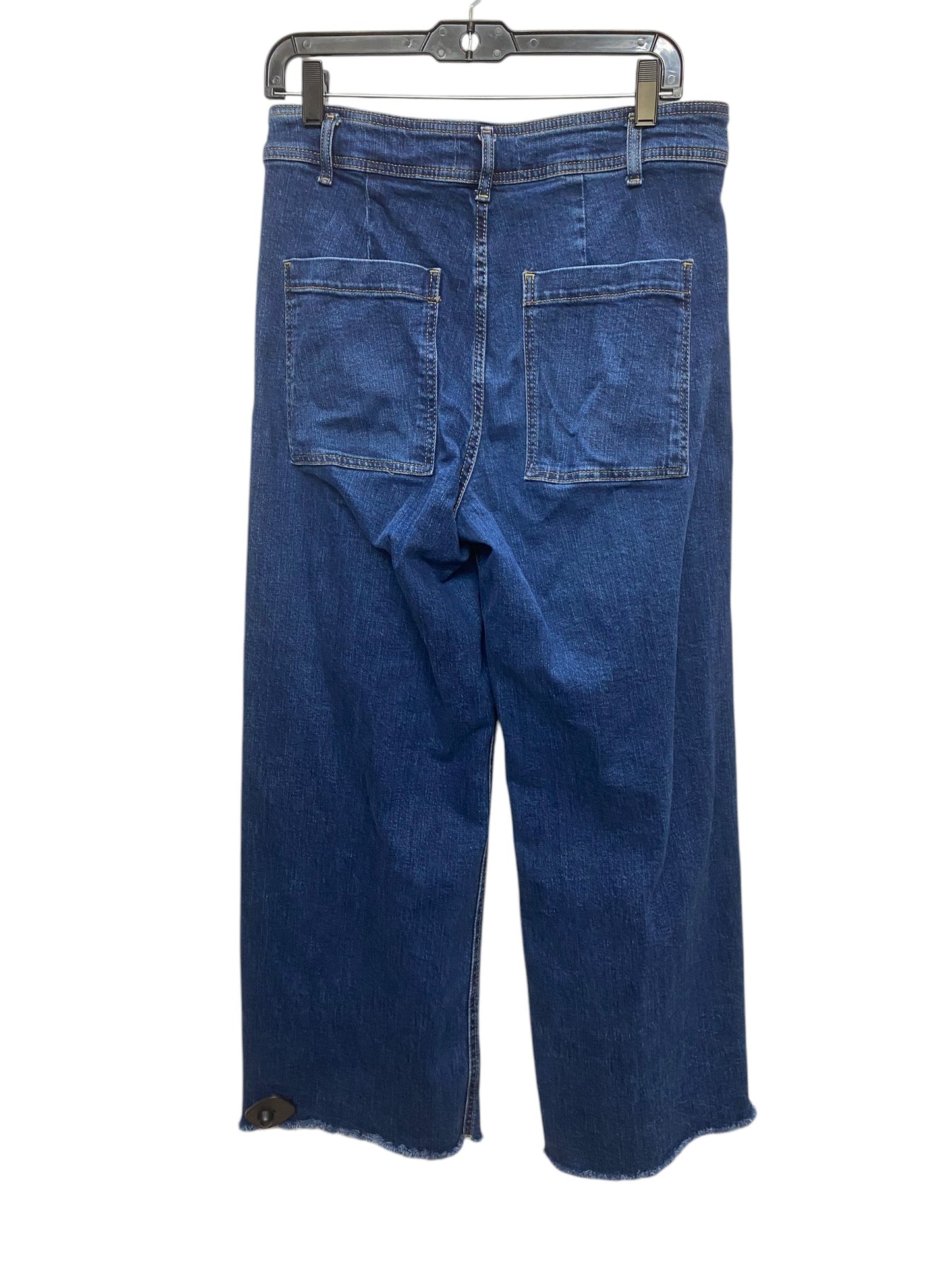 Jeans Wide Leg By Zara In Blue, Size: 12