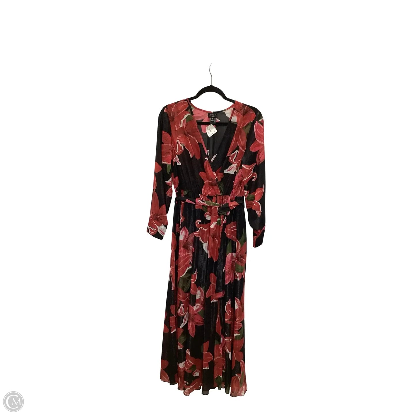 Dress Casual Maxi By Alexa B In Floral Print, Size: 8