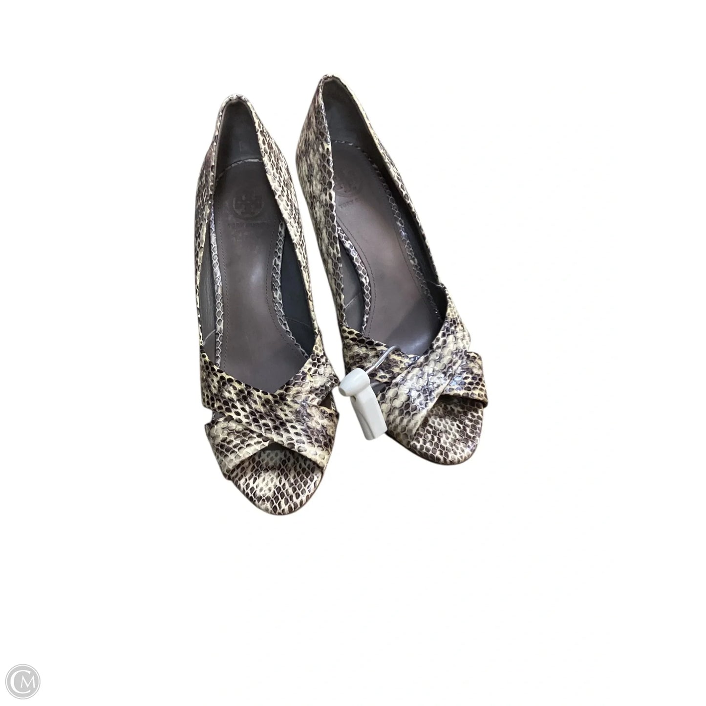 Shoes Designer By Tory Burch In Animal Print, Size: 8.5
