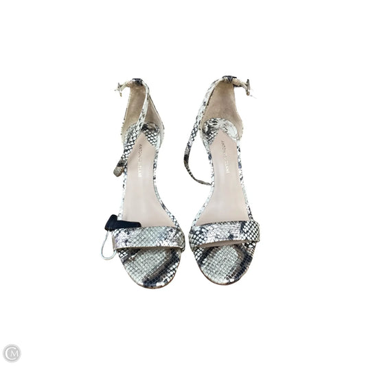 Sandals Heels Block By Antonio Melani In Animal Print, Size: 6.5