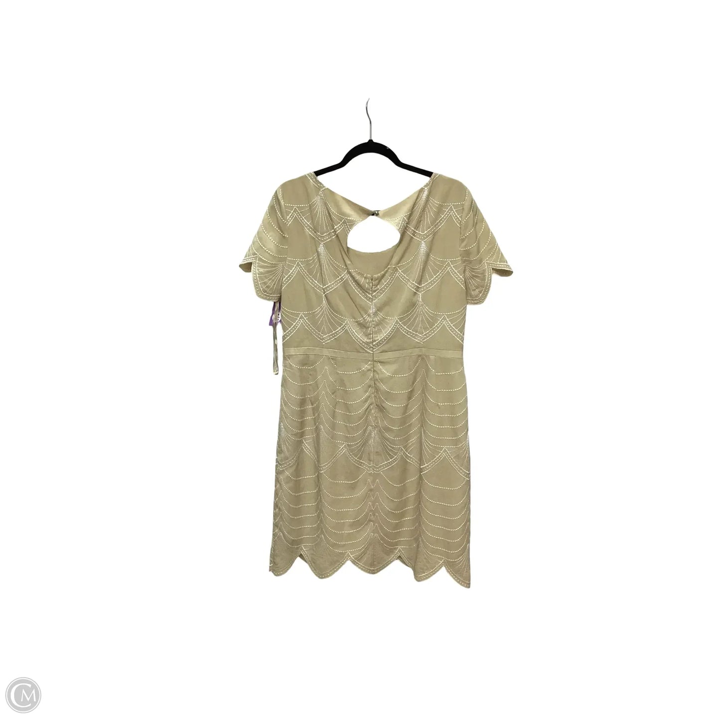 Dress Casual Short By Antonio Melani In Beige, Size: 14