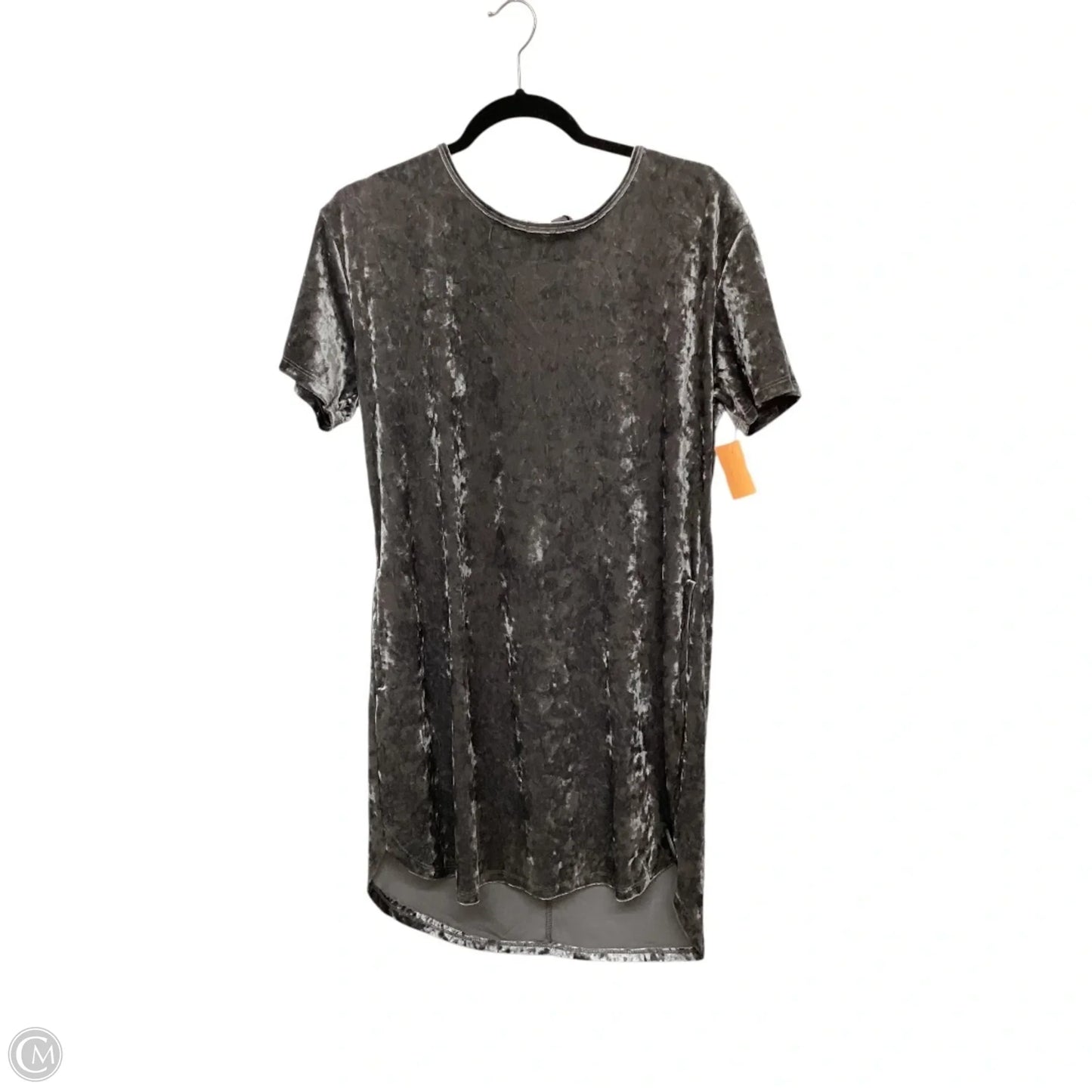 Dress Party Short By Z Supply In Grey, Size: S