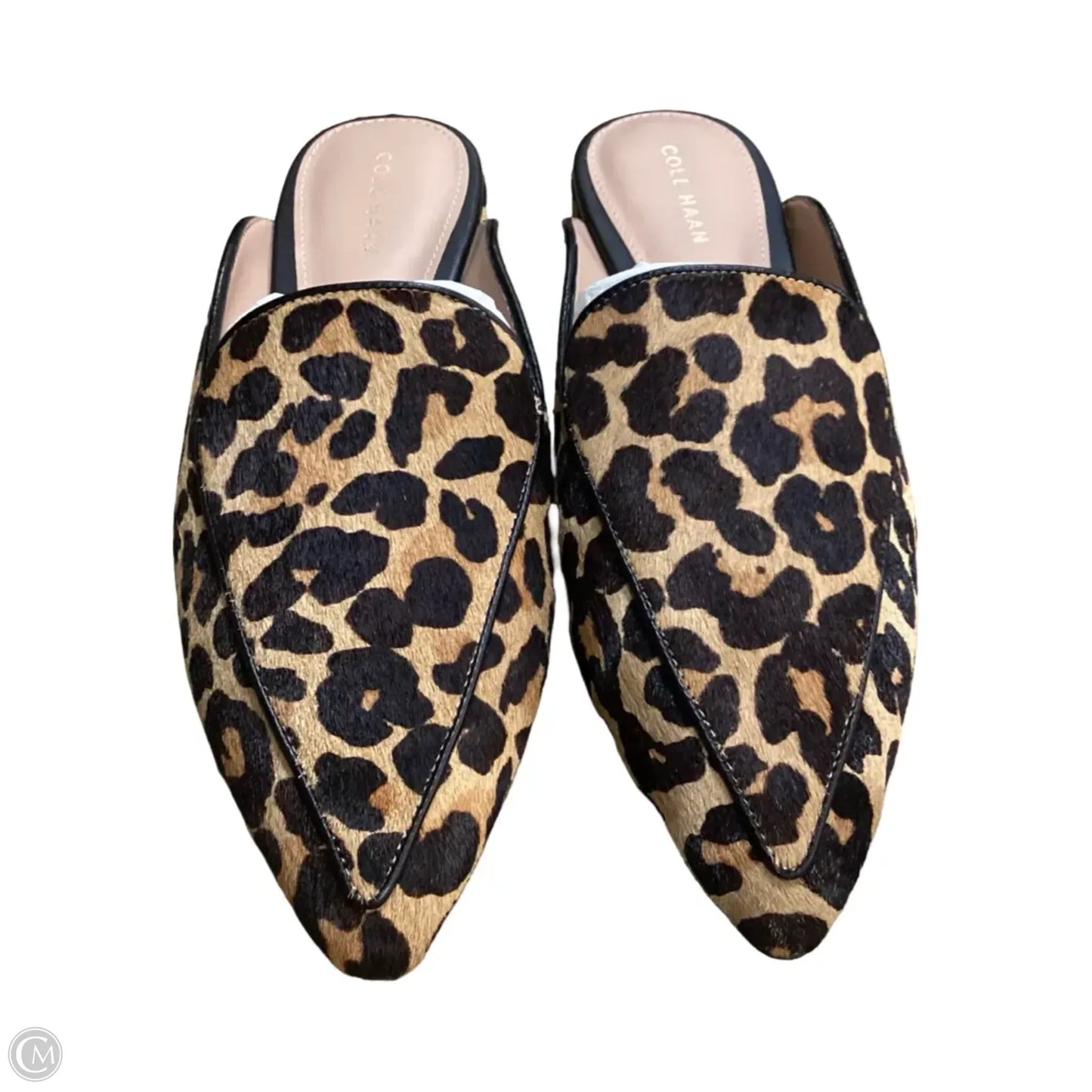 Shoes Flats By Cole-haan In Animal Print, Size: 9.5