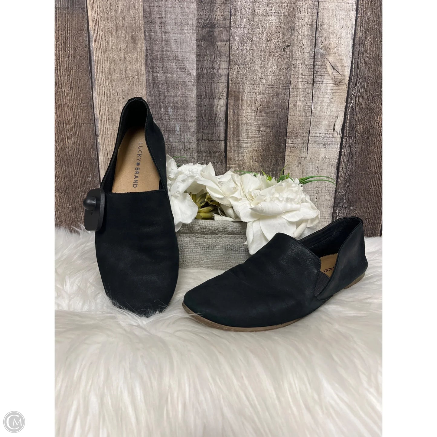 Sandals Flats By Lucky Brand In Black, Size: 7