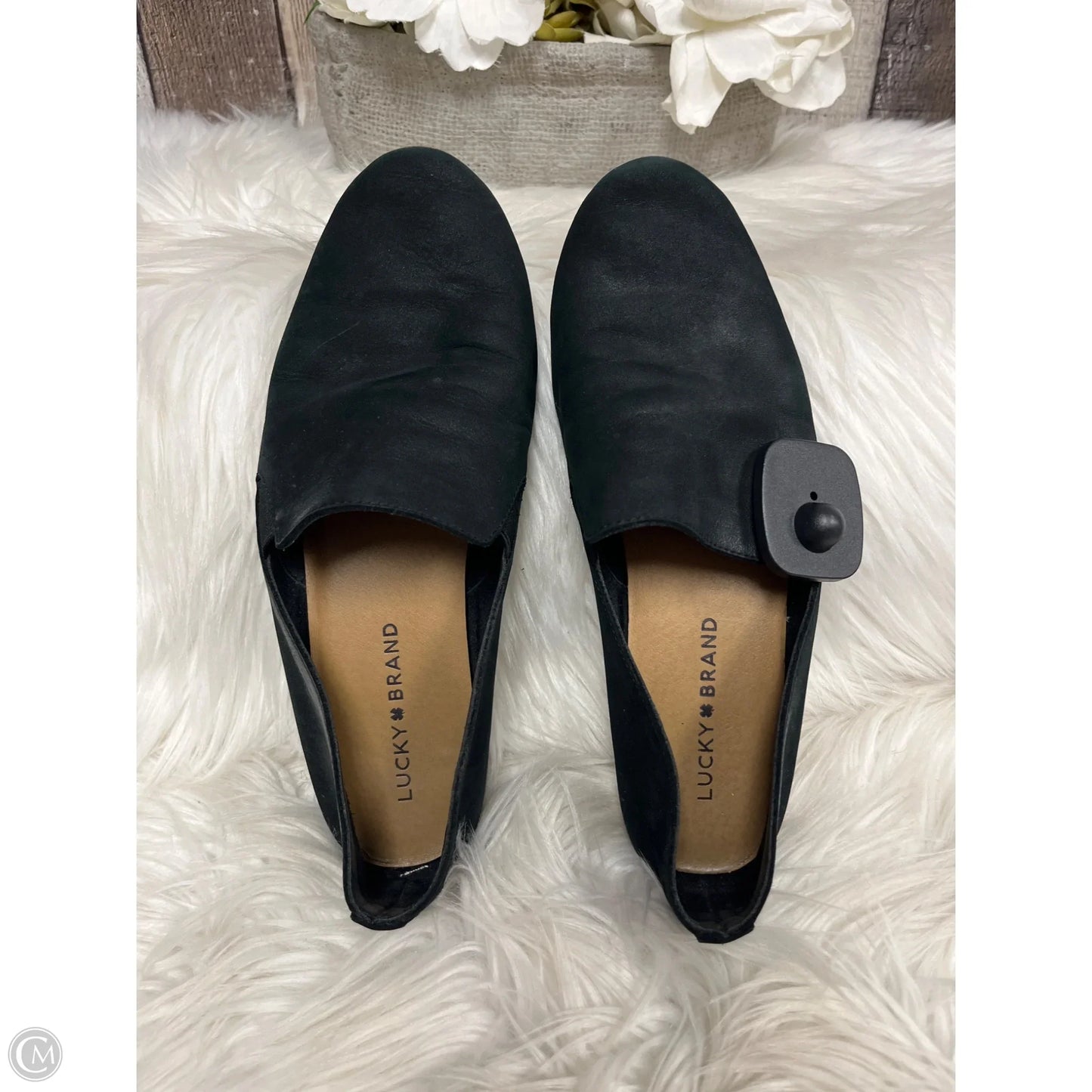 Sandals Flats By Lucky Brand In Black, Size: 7