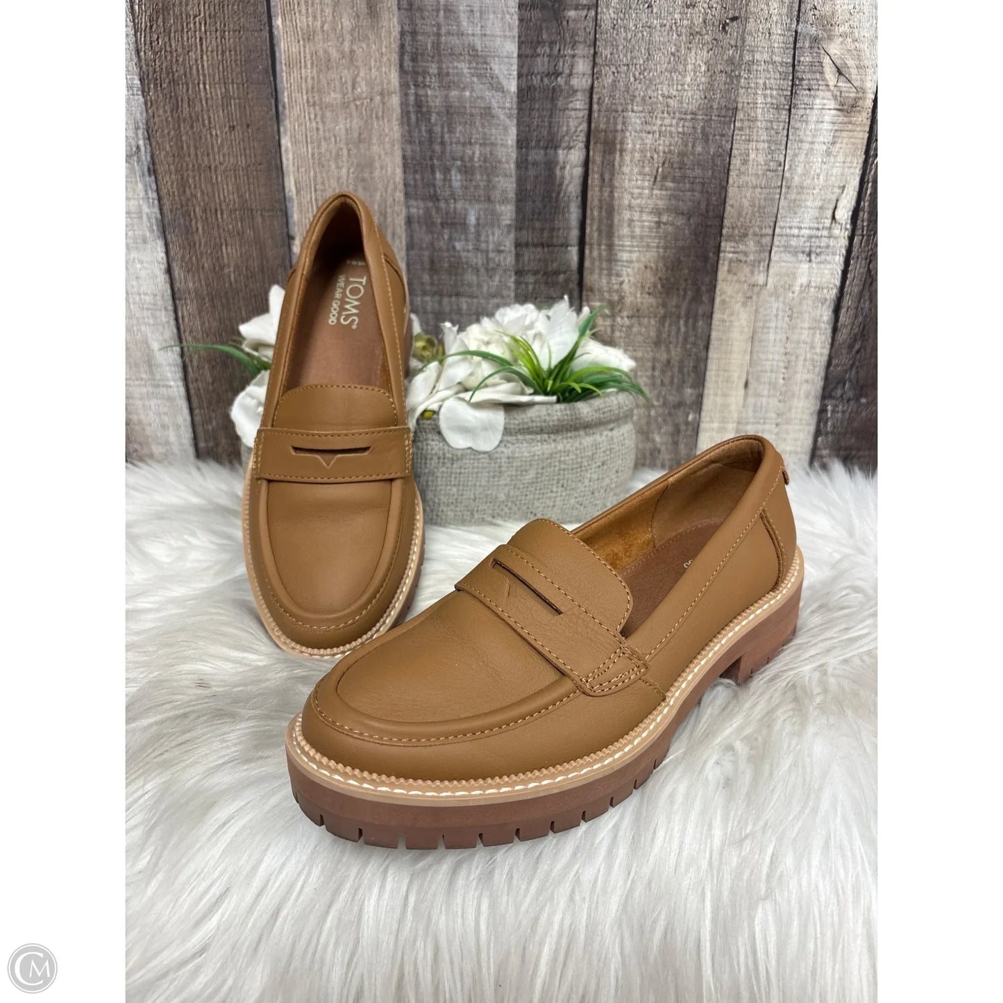 Shoes Flats By Toms In Brown, Size: 6
