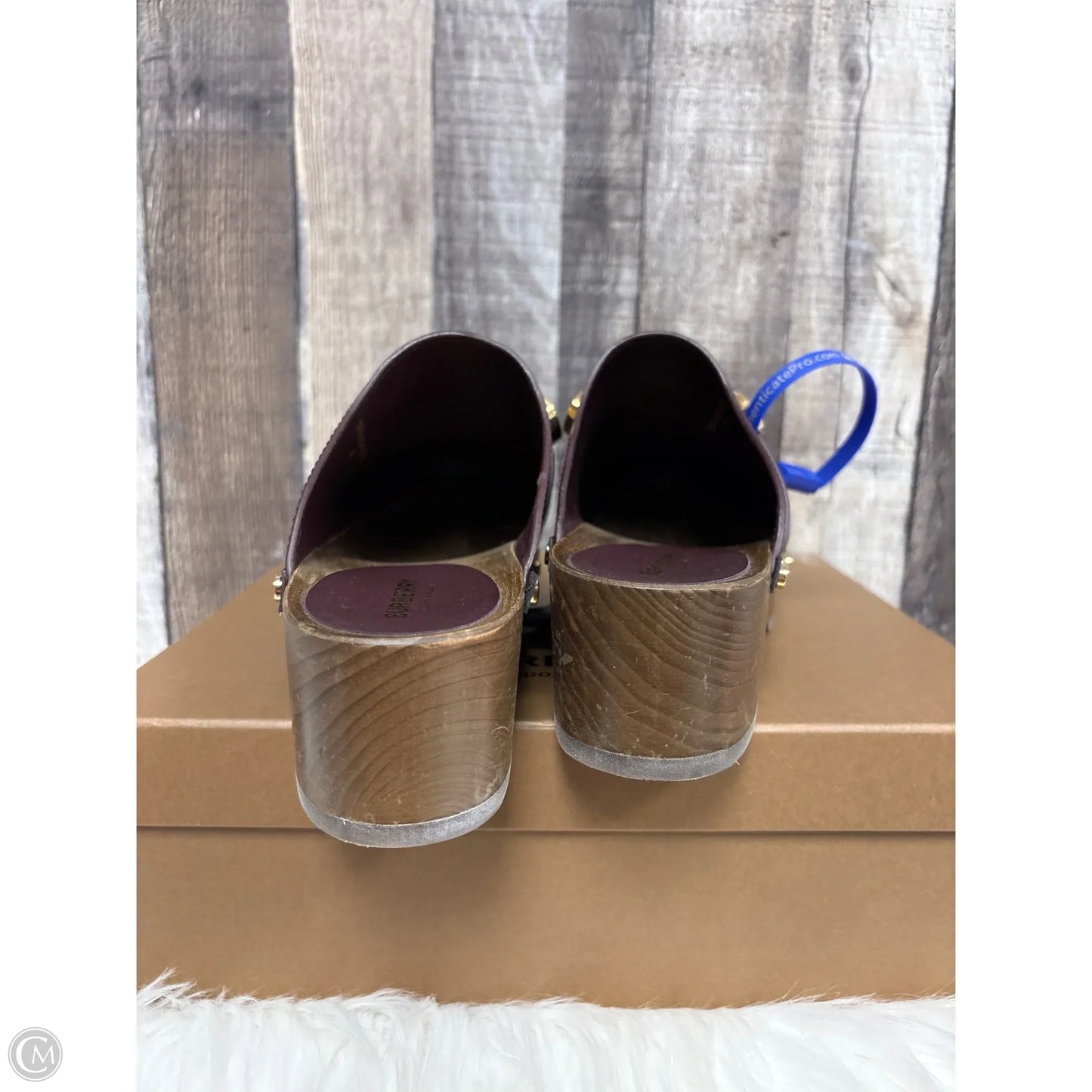 Shoes Luxury Designer By Burberry In Brown, Size: 9.5