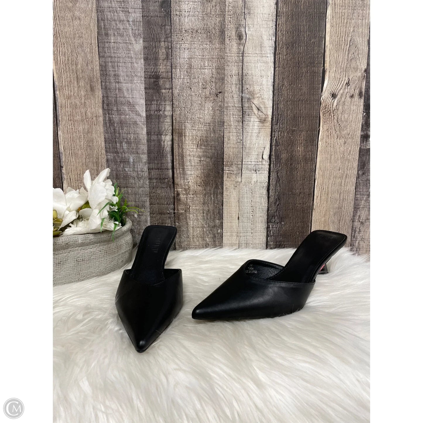 Shoes Designer By Jason Wu In Black, Size: 7.5