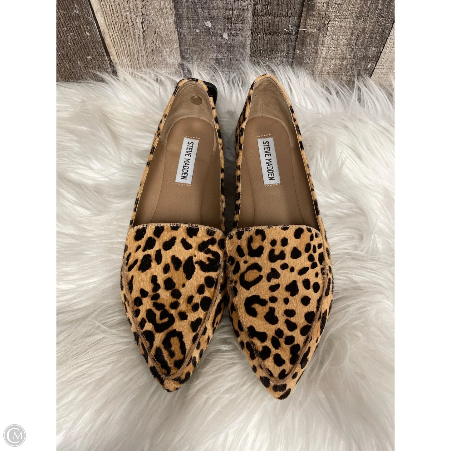 Shoes Flats By Steve Madden In Animal Print, Size: 8