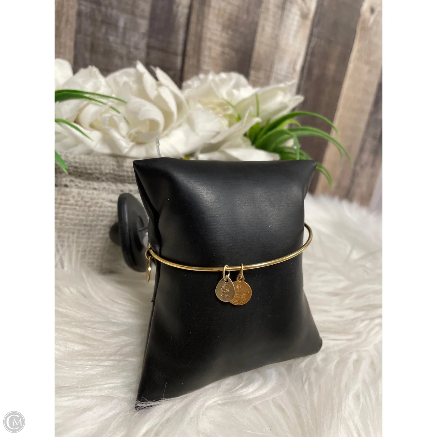 Bracelet Bangle By Alex And Ani