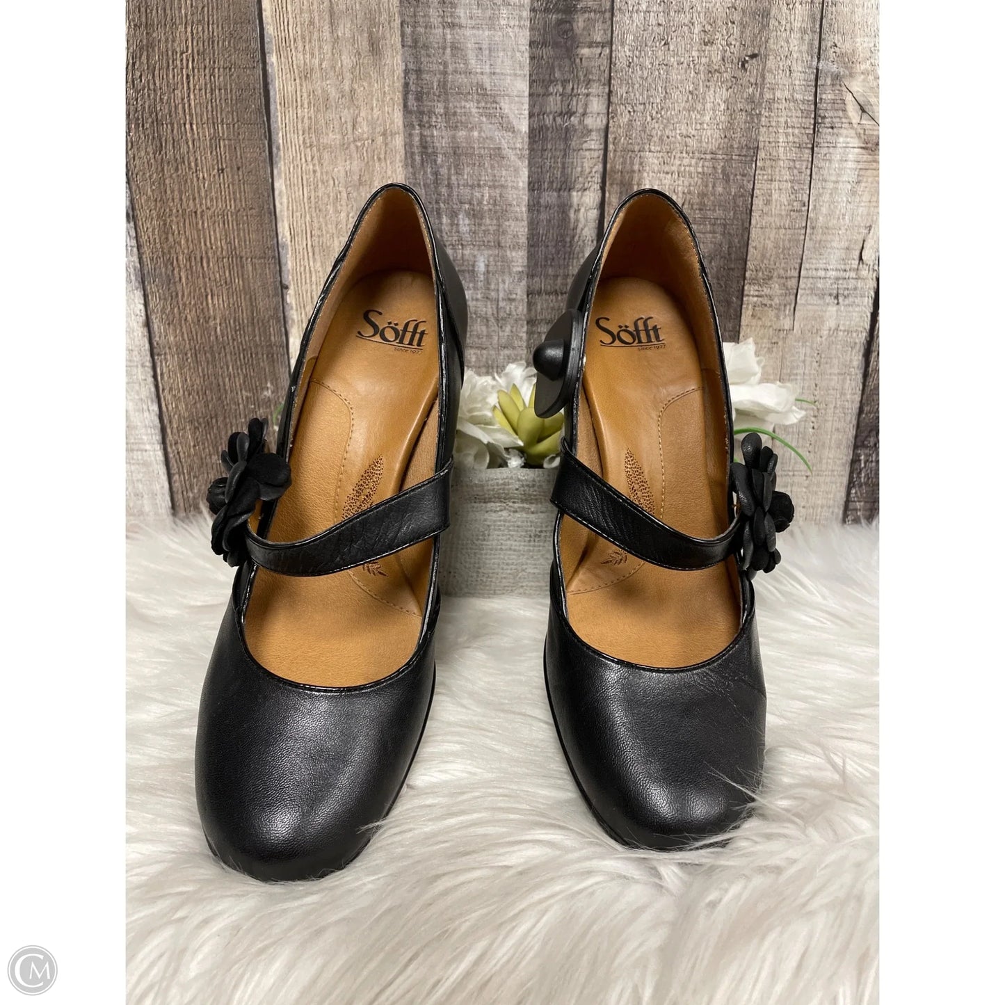 Shoes Heels Block By Sofft In Black, Size: 9.5