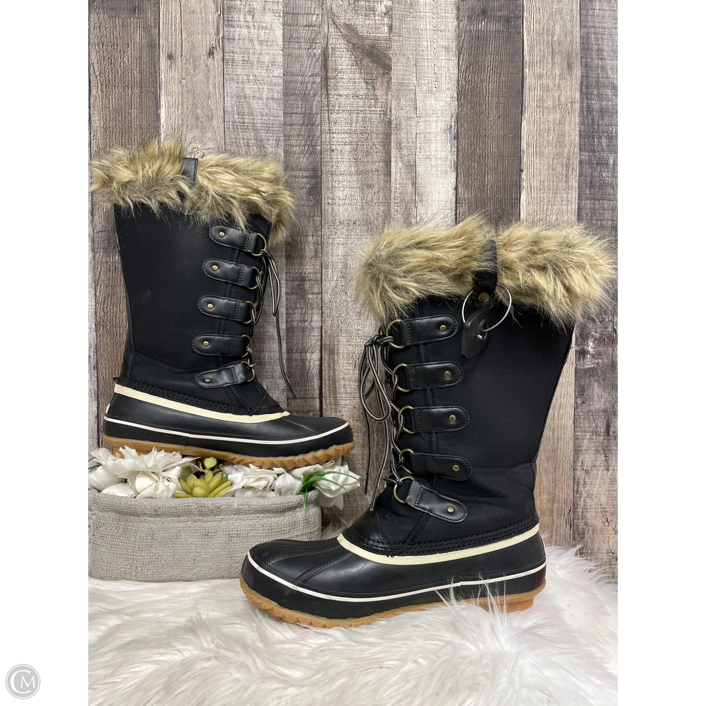Boots Snow By Jbu By Jambu In Black, Size: 10