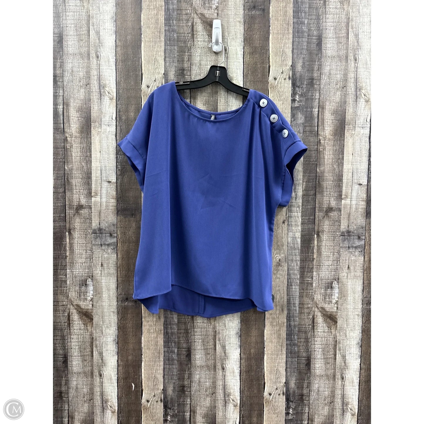 Top Short Sleeve By Massini In Blue, Size: 1x