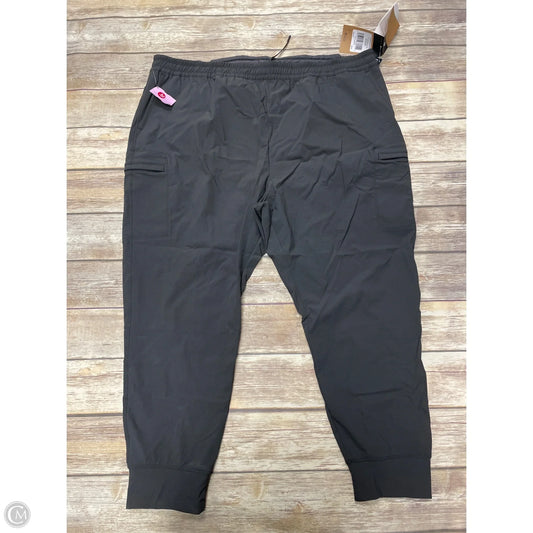 Athletic Pants By The North Face In Grey, Size: 3x