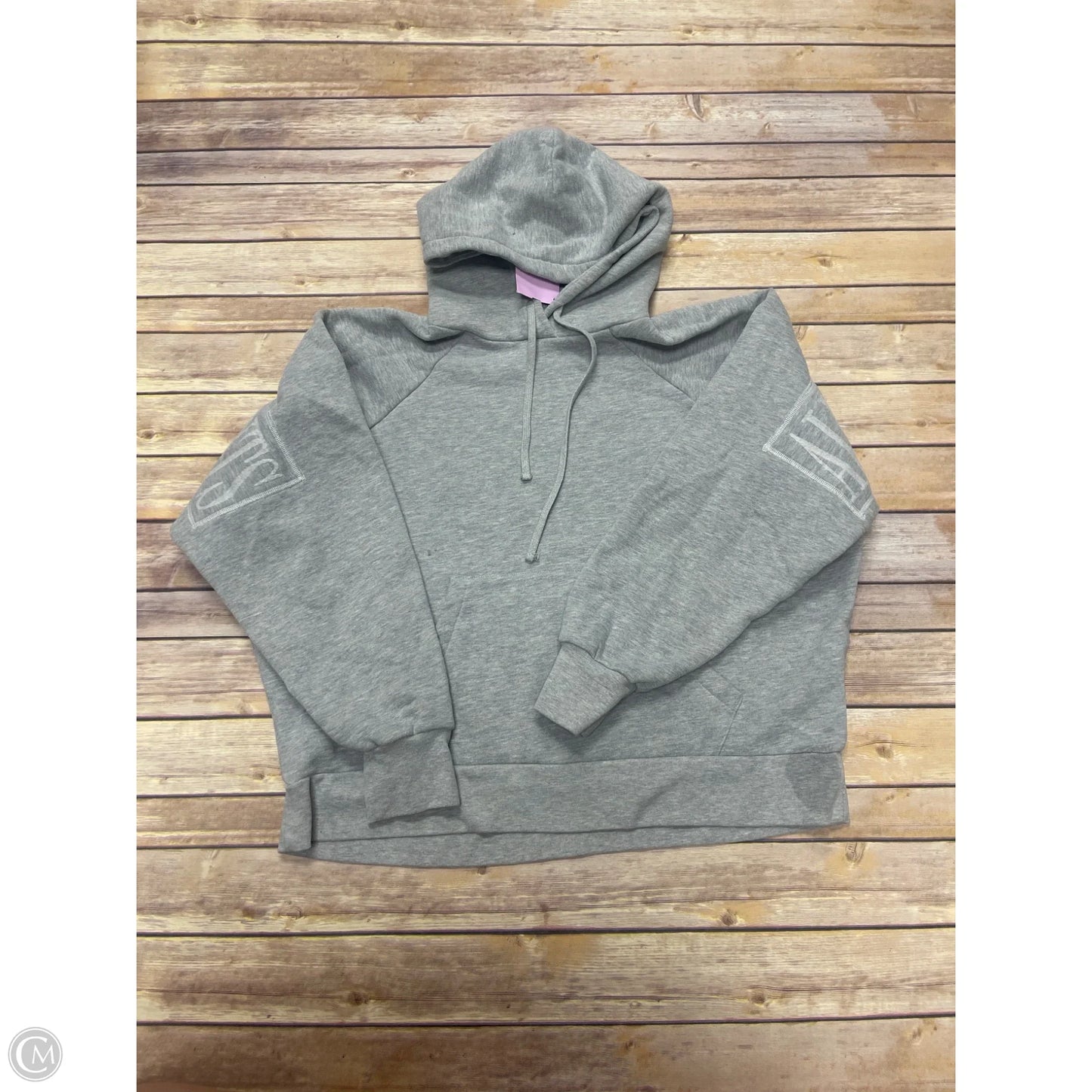 Sweatshirt Hoodie By All Saints In Grey, Size: S