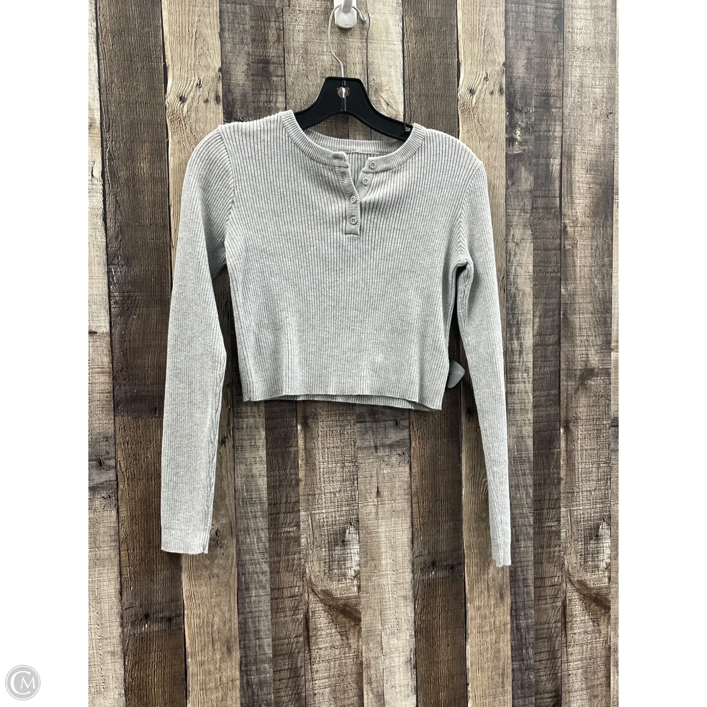 Top Long Sleeve By Brandy Melville In Grey, Size: S