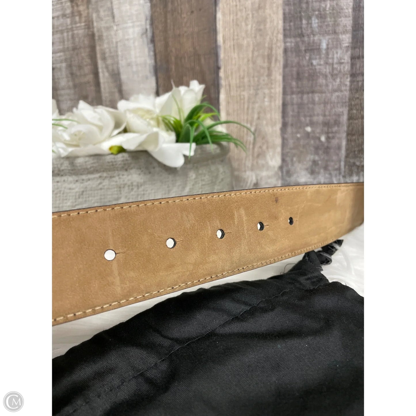 Belt Luxury Designer By Dolce And Gabbana, Size: Medium