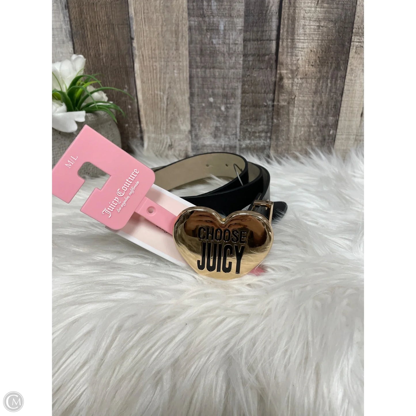 Belt By Juicy Couture, Size: Medium
