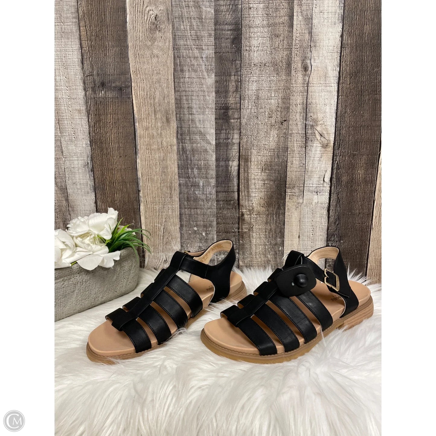 Sandals Flats By Dr Scholls In Black, Size: 8.5