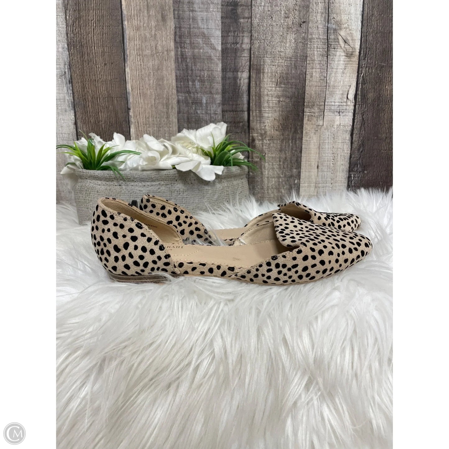 Shoes Flats By Isaac Mizrahi In Animal Print, Size: 7.5