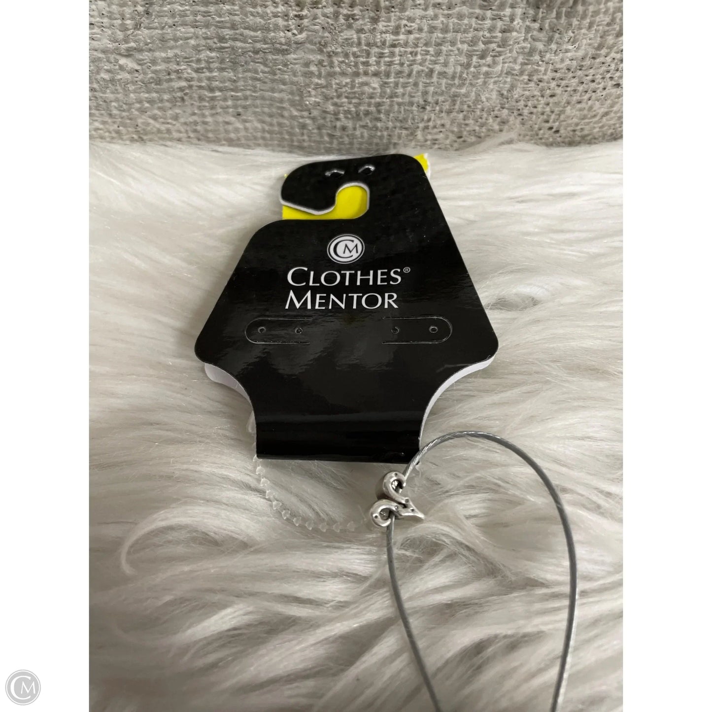 Accessory Tag By Pandora