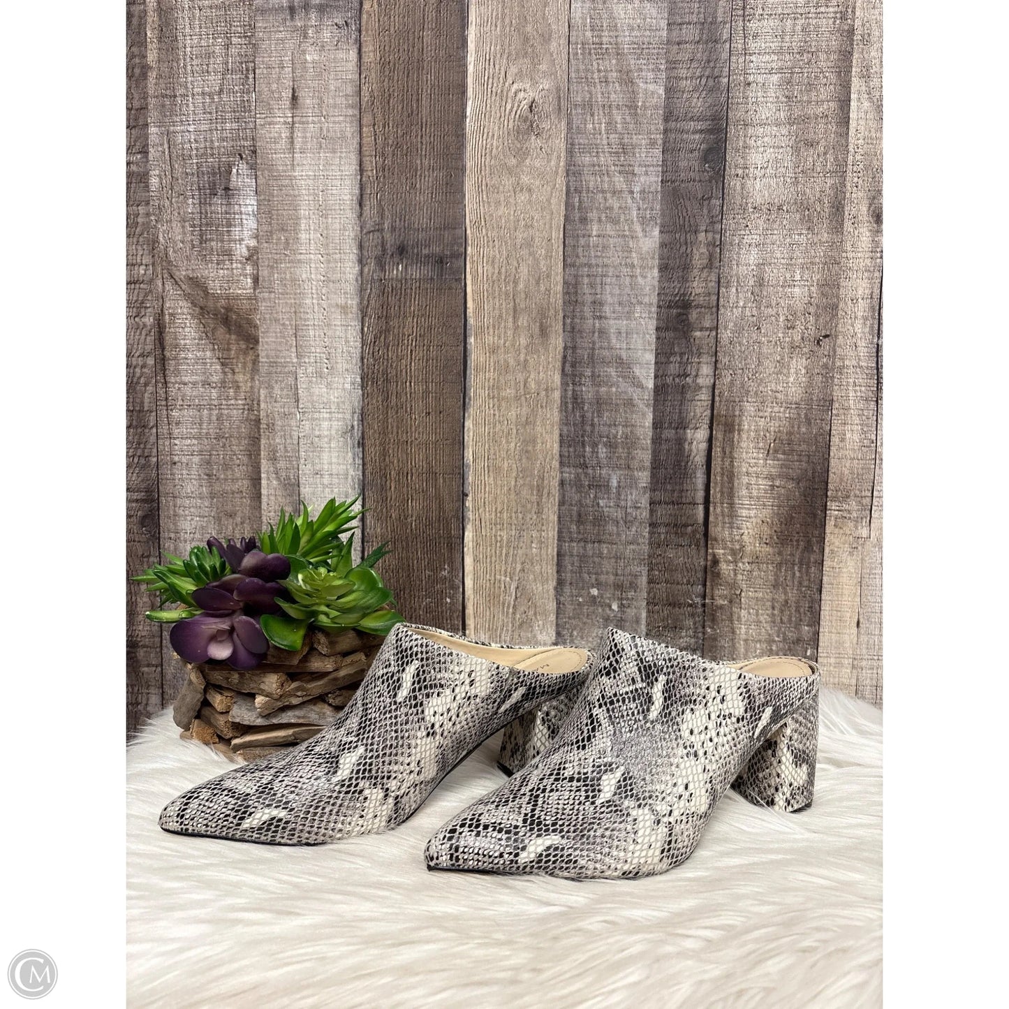 Shoes Heels Block By Marc Fisher In Snakeskin Print, Size: 8