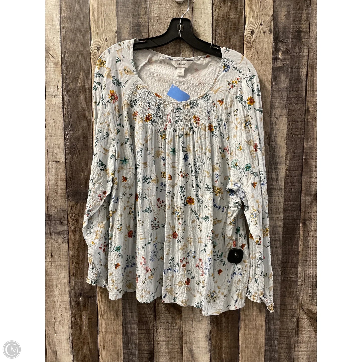 Top Long Sleeve By Cj Banks In Blue, Size: 2x