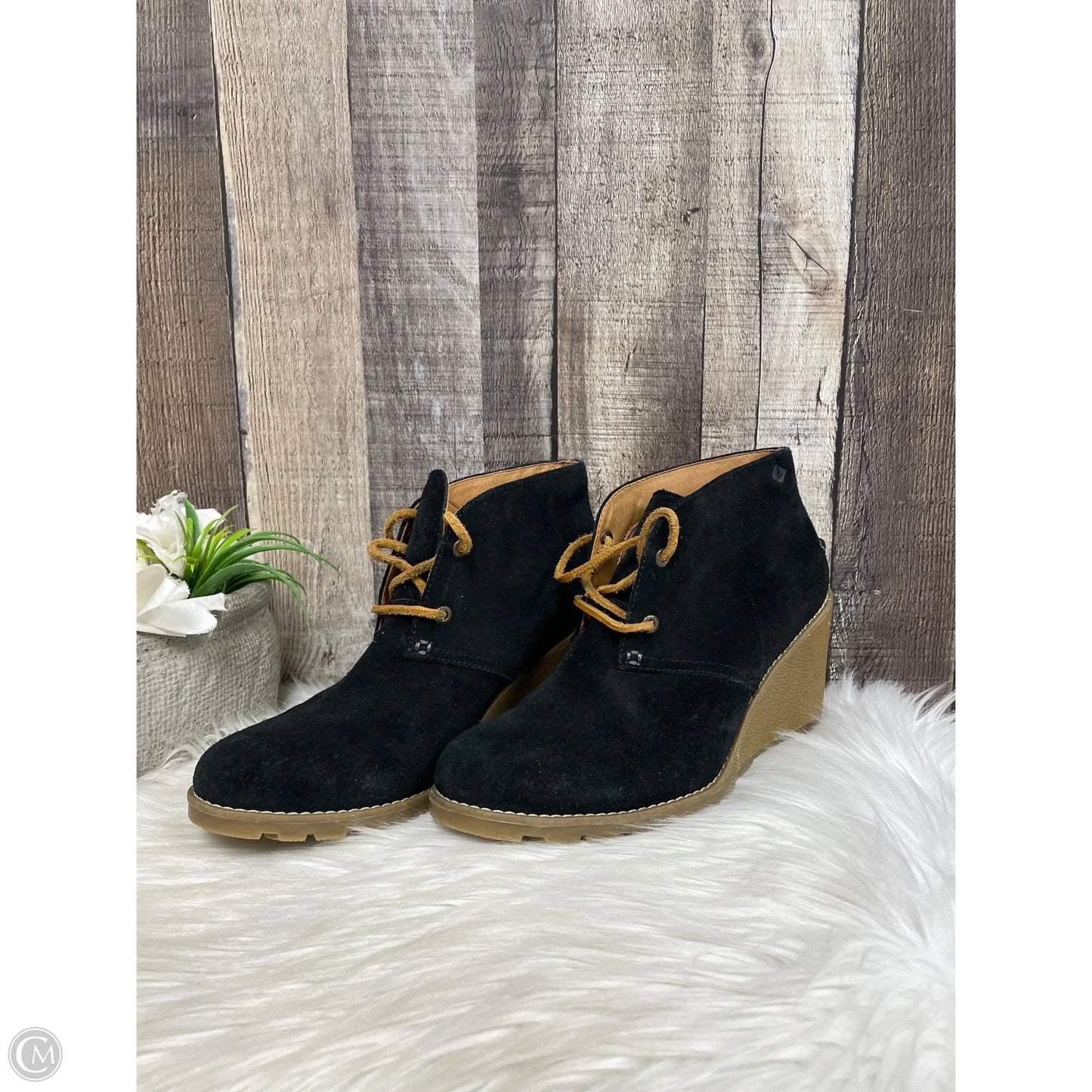 Shoes Heels Wedge By Sperry In Black, Size: 8