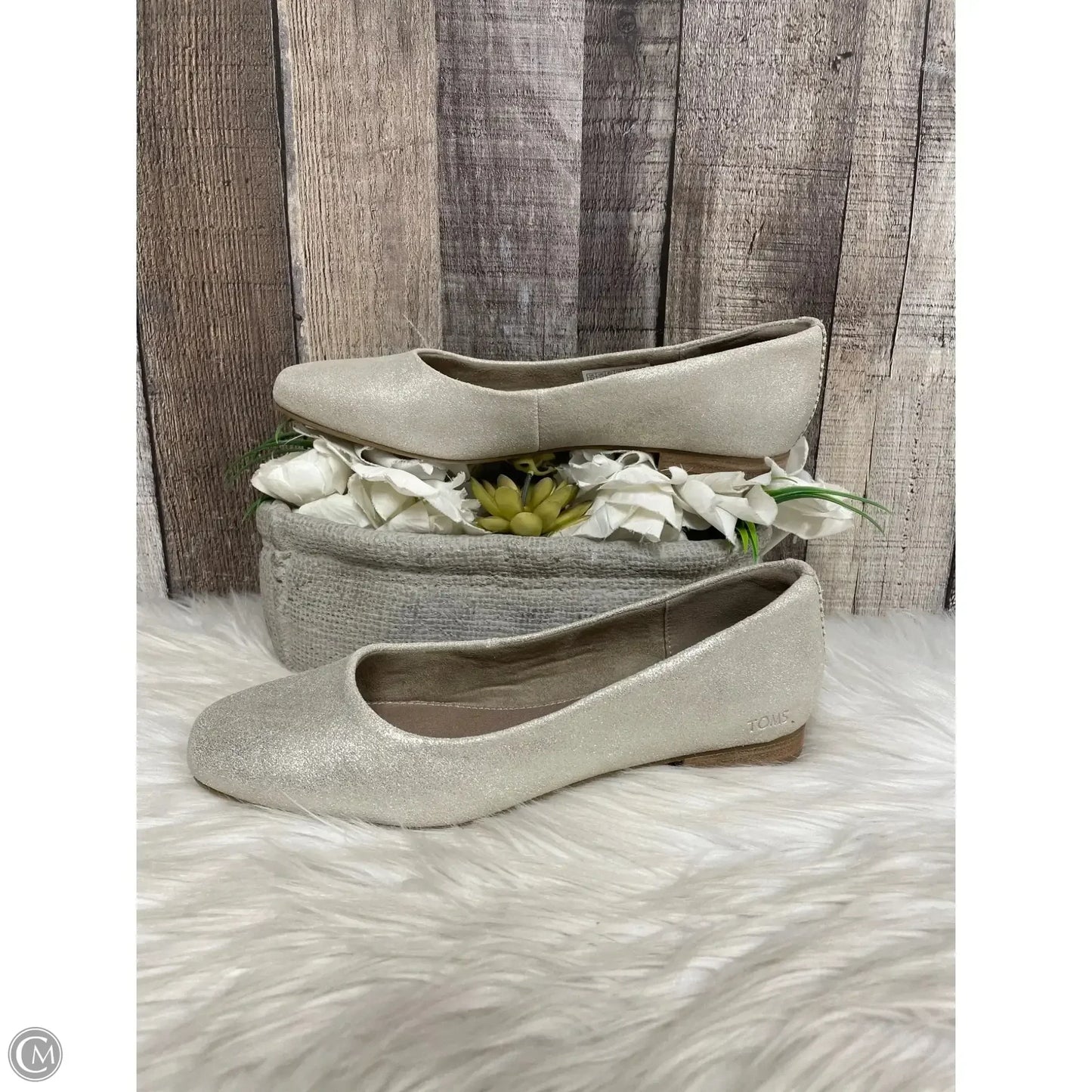 Shoes flats By Toms In Gold, Size: 6.5