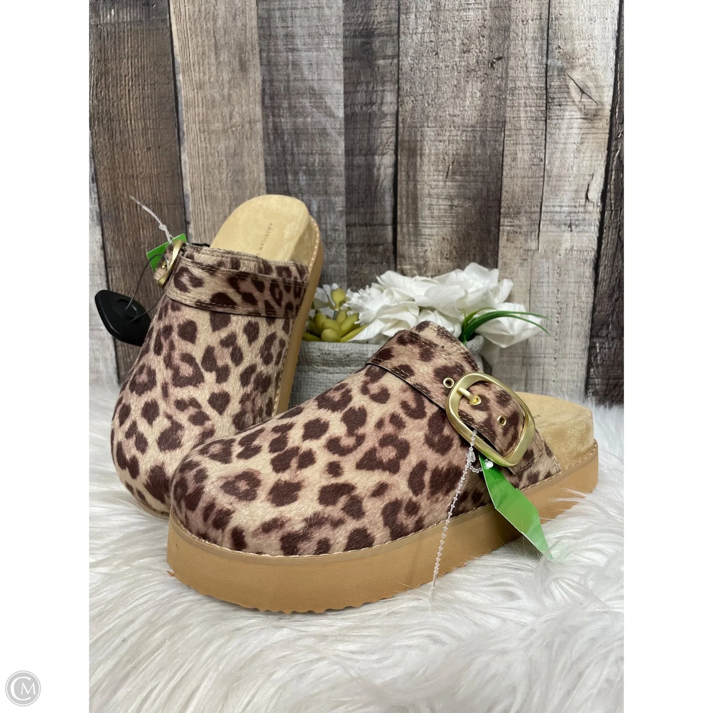 Shoes Heels Platform By American Eagle In Animal Print, Size: 7
