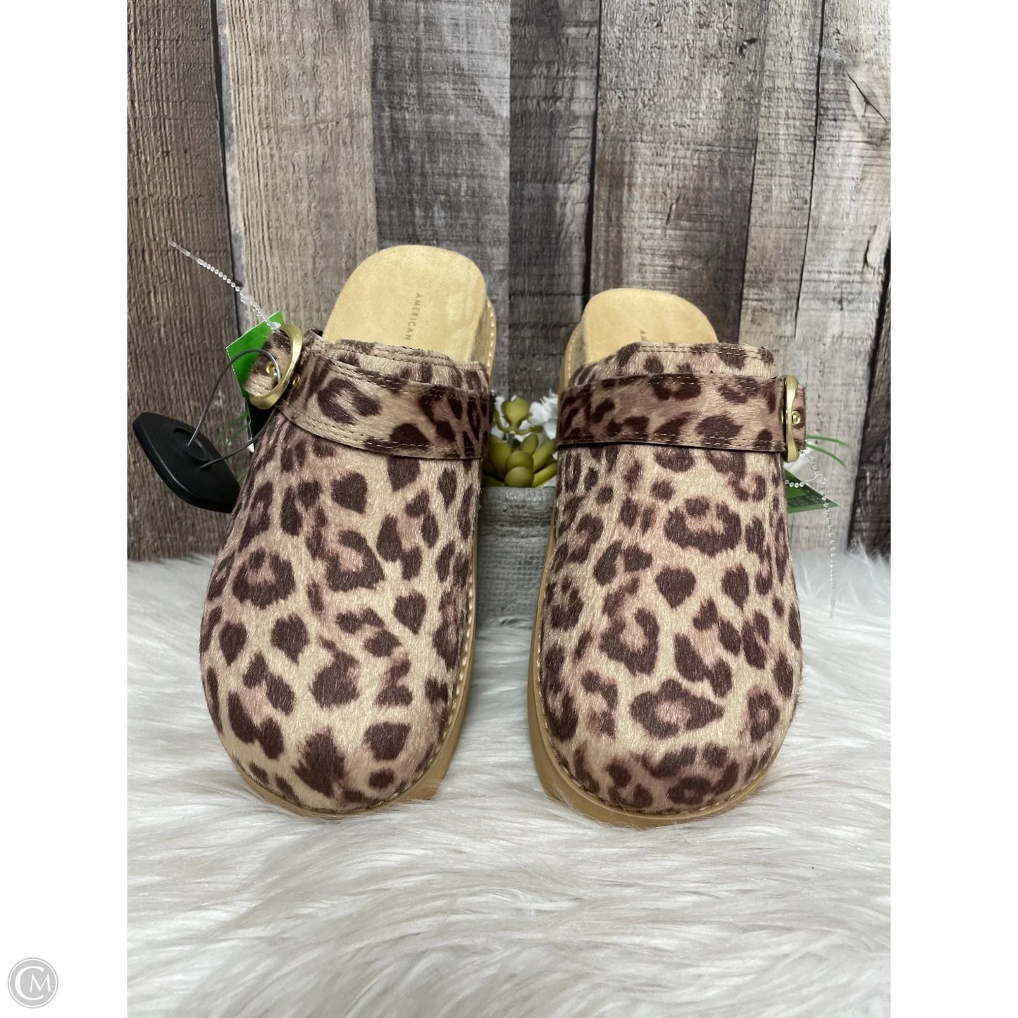 Shoes Heels Platform By American Eagle In Animal Print, Size: 7